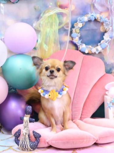 20240810れおくん